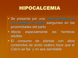 HIPOCALCEMIA
 Se presenta por una caída drástica en
los niveles de Calcio sanguíneo en las
proximidades del parto
 Afecta especialmente las hembras
adultas
 El consumo de plantas con altos
contenidos de ácido oxálico hace que el
Calcio se fije y no sea asimilable
 