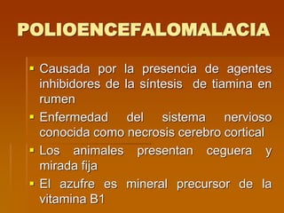 POLIOENCEFALOMALACIA
 Causada por la presencia de agentes
inhibidores de la síntesis de tiamina en
rumen
 Enfermedad del sistema nervioso
conocida como necrosis cerebro cortical
 Los animales presentan ceguera y
mirada fija
 El azufre es mineral precursor de la
vitamina B1
 
