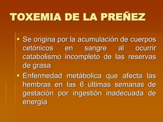 TOXEMIA DE LA PREÑEZ
 Se origina por la acumulación de cuerpos
cetónicos en sangre al ocurrir
catabolismo incompleto de las reservas
de grasa
 Enfermedad metábolica que afecta las
hembras en las 6 últimas semanas de
gestación por ingestión inadecuada de
energía
 