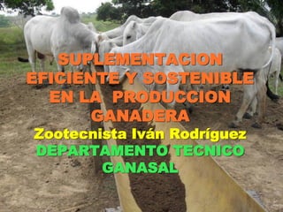 SUPLEMENTACION
EFICIENTE Y SOSTENIBLE
EN LA PRODUCCION
GANADERA
Zootecnista Iván Rodríguez
DEPARTAMENTO TECNICO
GANASAL
 