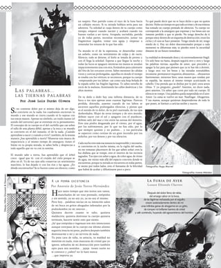 Si no contiene dolor por sí mismo deja de ser algo,
se convierte en la nada; los cuadrantes encierran tu
mundo y ese mundo se cierra cuando tú lo sujetas con
tus toscas manos. Apenas un símbolo, un ruido manso (el
sonido del universo) que se entreteje en tu pensamiento.
El concepto de tu cuerpo es el del cuchillo que cae sobre
el tallo de una planta débil, apenas y la toca y su mundo
se convierte en el del instante, el de la nada. ¿Cuándo
aprendiste a nacer y cuándo a vivir?, también, de la misma
manera ¿has aprendido a morir? Muestras una mueca de
impaciencia y al mismo tiempo de amargura; tienes el
límite en tu propia mirada, te sabes bella y desprecias a
todo aquello que no va con tu sonrisa.
El mundo sabe a tierra, has aprendido que el árbol
crece –igual que tú- con el crujido del cielo porque se
abre en él. Ya de tus ojos sólo conservas un sentimiento
marchito, lo has dejado ir con los ríos y las aguas. ¿En
dónde encontrarlos? Se te fueron como un silencio, como
un suspiro. Han partido como el rayo de la luna hacia
un callejón oscuro. Si tu mirada hablara sería para sus
adentros. Tu soledad se cuaja dentro de tu cuerpo como
tiempo; empezó cuando naciste y acabará cuando tus
huesos vuelan a ser tierra. Atrapada, escindida, partida
ya de todas partes, necesitas reconstruirte, juntar tus
fragmentos regados, tomar una aguja y empezar a
remendar los retazos de lo que has sido.
Tu mundo es el de la esperanza, te desarrollas como
un anhelo, como un sentimiento de culpa y de vacío.
Silencio, todo se detiene, el hielo se instala de pronto y
con él llega la soledad. Esperas a que llegue la noche y
todas las luces se apaguen mientras tus manos se anudan
impacientemente una con otra, frotándote para calentarte
del frío de los cercanos cerros. Sabes menester de cálidas
voces y caricias prolongadas, aquellas en donde el tiempo
se rosaba con los vértices; te reconoces, porque tu cuerpo
–empezando por tus labios- cae como una hoja helada de
la espada sobre las frágiles lágrimas. Te sabes estrella de
rocío de la mañana, iluminando las calles desérticas y los
altos montes.
De tu dedo a dedo hay una infinita distancia, de tu
boca a tus ojos apenas unas cuantas lágrimas. Pareces
perdida, distraída, ausente cuando de tus labios se
escurren aquellos prolongados silencios, y pienso que
es el sonido de tu dolor, de tu piel cuarteada, de tus ojos
desbordados. Mujer de otros tiempos y de otro mundo,
debiste nacer con el sol y apagarte con el atardecer,
debiste salir del mar e irte entre las arenas del desierto.
Eres una piedra desgastada por el viento, por el agua,
por los sufrimientos, por lo que no has sido, por lo
que siempre quisiste y no pudiste… y tus partículas
se esparcen como cenizas de un gran incendio por tus
anhelos, por tus deseos y por tus silencios.
Cadanocheeresmásesasustanciainaprensibleynecesaria;
te conviertes en la noche misma, en la vigilia del sueño,
en ese remanso placentero de los que saben soñar; eres la
luz diáfana que se rompe, eres el interior de los recintos
sagrados. Tus ojos con sabor a agua, de color agua, de ritmo
de agua, me miran más allá del espacio concreto donde te
encuentras, porque tu mirada se encuentra en todas partes,
te siento por todos lados, eres el fantasma de la felicidad
que habrá de acabar y difuminarse poco a poco.
Ya qué puedo decir que no te haya dicho o que no quiera
decirte.Hubountiempoenquetodoestristeydeesatristeza
has tomado un cuerpo prestado de silencios. Tu cuerpo no
corresponde a la amargura que expresas y tus besos son un
instante perdido o que te pierde. No tengo derecho de ti
porqueestoydentrodeunesquemadedestrucción,trozolos
ciclos y el caos se hace presente. Tengo miedo de mí, tengo
miedo de ti. Hay un dolor descorazonador porque a cada
momento te difuminas más, te pierdes entre la oscuridad
distante de un futuro inmediato.
La realidad es demasiado dura y tú extremadamente frágil.
Un solo beso no basta, después seguirá otro y otro y luego
las palabras tiernas, aquellas de amor, que preceden a
apagar la luz para que piensen que ya te has ido a dormir,
y luego otra vez los besos y las miradas entrañables;
recostarse,permanecerinquietos,abrazarnos…abrazarnos
fuertemente, mirarnos bien, unas manos que rondan por
tu espalda, las manos al mismo tiempo acariciando tu
cabello. Una prenda que se desliza por tu piel, unos senos
tibios. Y yo pregunto ¿puedo? Asientes, no dices nada,
pero asientes. Un sabor que corre por todo mi cuerpo. El
silencio se rompe. Una palabra queda suspendida en el aire:
Amor. La cama se vuelve un mar. Naufragar. Ahogarnos.
Y tus manos, aunque quisieran desprenderme de todo lo
que poseo, se limitan a caricias sutiles y suaves.
Hace tanto tiempo que mis textos son vanos,
manchados de un rosa prestado, estúpidos
y sin sentido, ya no soy yo, ya no soy el mismo.
Pero hoy... palabras necias en su intención salen
de mi boca en gritos ahogados infestados por la
podredumbre en mi interior…
Quisiera decirte cuanto te odio, quisiera
maldecirte, quisiera destrozar tu cuerpo quisiera
tortúrate, hacerte sentir esto que siento.
¡Ja! que estúpidas e ingenuas son mis intenciones
aunque extirpase de tu cuerpo ese último aliento
seguiría intacta mi pena, pudiera después también
destrozarme a mí y no serviría de nada.
Tu puta cara de niña, tu astucia, tu maldad no
mentiste en nada, eran mascaras de cristal que yo
ignore, señuelos de mi destrucción pero también
opio para mis sentidos… jajaja tienes razón no
te conozco y ¿sabes? no lo hare nunca.
…que importa ya.
Después del dolor lleno de rabia,
del amargo sabor en la boca,
de las lágrimas rechazada por el orgullo;
crecen aceleradamente dentro de mi
unas infinitas ganas de ahogarme en un grito,
de romper mi brillante barrera de cristal
y salir corriendo, huyendo del egocentrismo del hombre.
Por Anotnio de Jesús Torres Hernández
 