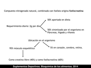 Compuesto nitrogenado natural, combinado con fosfato origina fosfocreatina 
Requerimiento diario: 2g por día 
50% aportado en dieta 
50% sintetizado por el organismo en 
Páncreas, hígado y riñones 
Ubicación en el organismo 
95% músculo esquelético 5% en corazón, cerebro, retina. 
Como creatina libre (40%) y como fosfocreatina (60%) 
Suplementos Deportivos. Bioquímica de los alimentos. 2014 
 