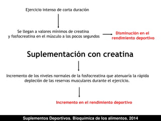 Ejercicio intenso de corta duración 
Se llegan a valores mínimos de creatina 
y fosfocreatina en el músculo a los pocos segundos 
Disminución en el 
rendimiento deportivo 
Suplementación con creatina 
Incremento de los niveles normales de la fosfocreatina que atenuaría la rápida 
depleción de las reservas musculares durante el ejercicio. 
Incremento en el rendimiento deportivo 
Suplementos Deportivos. Bioquímica de los alimentos. 2014 
 