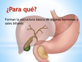 Forman la estructura básica de algunas hormonas y
sales biliares
 