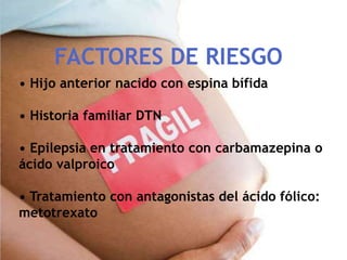 • Hijo anterior nacido con espina bífida
• Historia familiar DTN
• Epilepsia en tratamiento con carbamazepina o
ácido valproico
• Tratamiento con antagonistas del ácido fólico:
metotrexato
FACTORES DE RIESGO
 