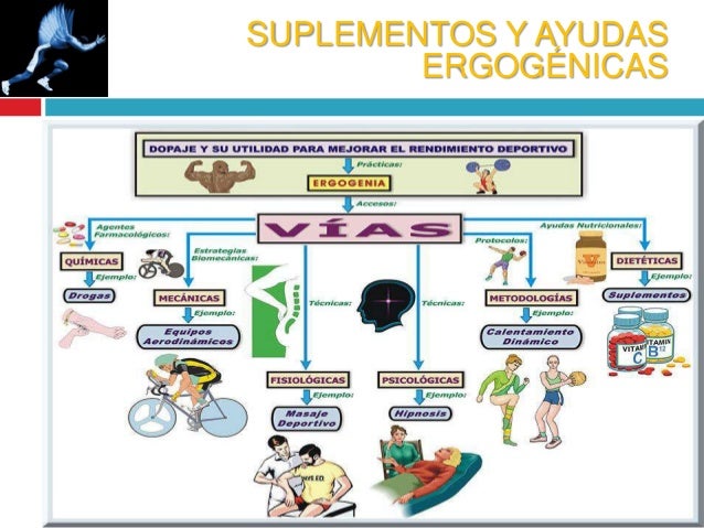 perdida de grasa abdominal Quieres perdida de grasa abdominal baja energa durante