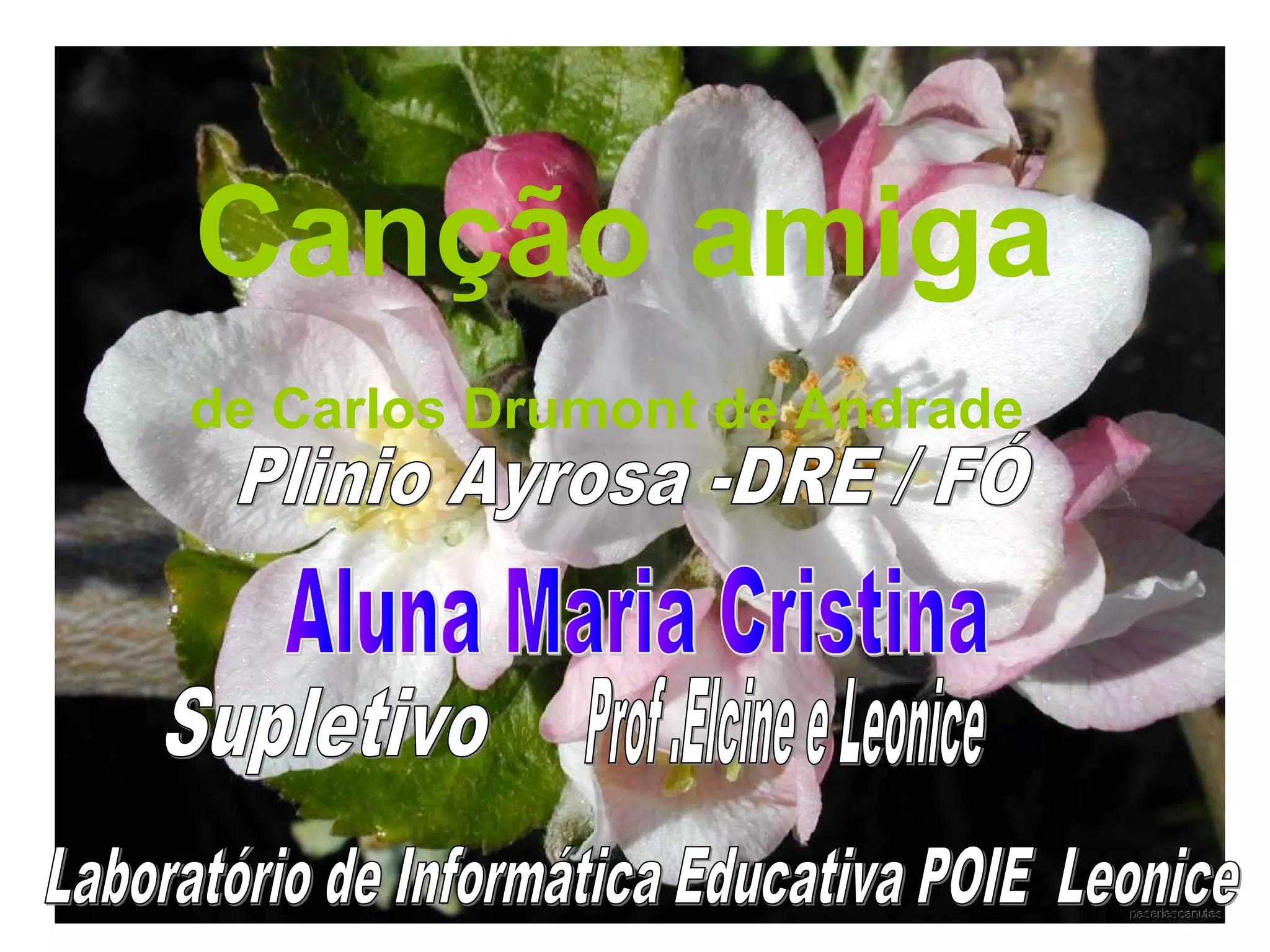 Canção amiga
de Carlos Drumont de Andrade
