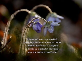 Mas mostra-me por piedade,
quanto posso fazer nas boas obras,
usando paciência e coragem,
acima de qualquer provação
que me atinja a existência.
 