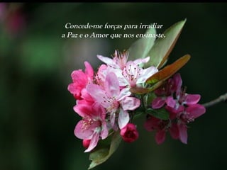 Concede-me forças para irradiar
a Paz e o Amor que nos ensinaste.
 