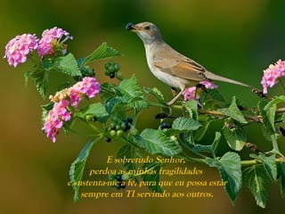 E sobretudo Senhor,
perdoa as minhas fragilidades
e sustenta-me a fé, para que eu possa estar
sempre em TI servindo aos outros.
 