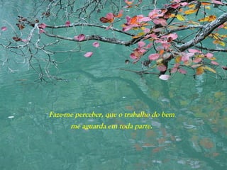 Faze-me perceber, que o trabalho do bem
me aguarda em toda parte.
 
 