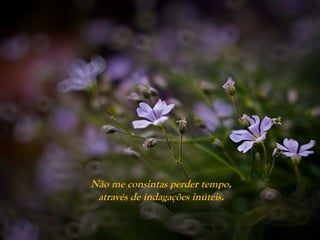 Não me consintas perder tempo,
através de indagações inúteis.
 
