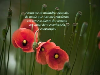 Apaga-me os melindres pessoais,
de modo que não me transforme
em estorvo diante dos irmãos,
aos quais devo convivência
e cooperação.
 