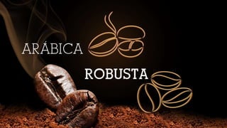 Suplicy Cafés Especiais