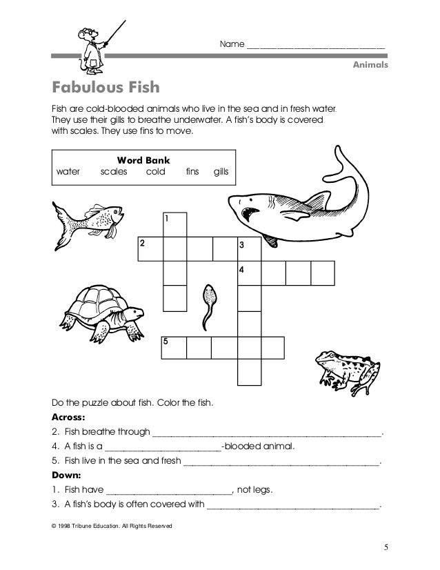 Supo gr2 science_activities1