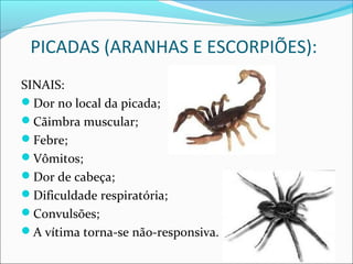 PICADAS (ARANHAS E ESCORPIÕES):
SINAIS:
Dor no local da picada;
Cãimbra muscular;
Febre;
Vômitos;
Dor de cabeça;
Dificuldade respiratória;
Convulsões;
A vítima torna-se não-responsiva.
 
