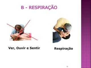 Ver, Ouvir e Sentir   Respiração




                            36
 