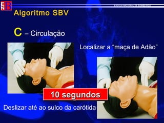 ESCOLA NACIONAL DE BOMBEIROS
Algoritmo SBV
C – Circulação
Localizar a “maça de Adão”
Deslizar até ao sulco da carótida
10 segundos10 segundos10 segundos10 segundos
 