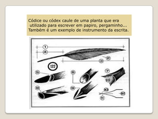 Códice ou códex caule de uma planta que era
 utilizado para escrever em papiro, pergaminho...
Também é um exemplo de instrumento da escrita.
 