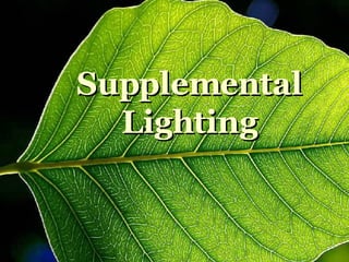 Supplemental
  Lighting