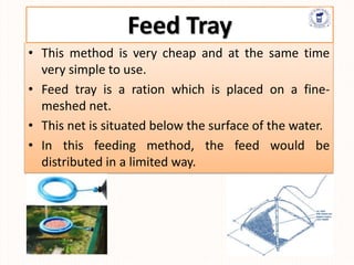 • This method is very cheap and at the same time
very simple to use.
• Feed tray is a ration which is placed on a fine-
meshed net.
• This net is situated below the surface of the water.
• In this feeding method, the feed would be
distributed in a limited way.
Feed Tray
 