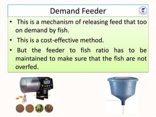 Demand Feeder
• This is a mechanism of releasing feed that too
on demand by fish.
• This is a cost-effective method.
• But the feeder to fish ratio has to be
maintained to make sure that the fish are not
overfed.
 