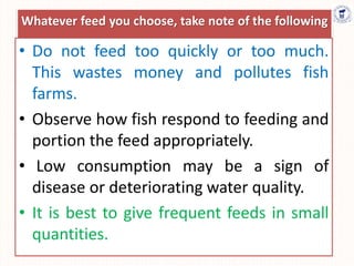 Whatever feed you choose, take note of the following
• Do not feed too quickly or too much.
This wastes money and pollutes fish
farms.
• Observe how fish respond to feeding and
portion the feed appropriately.
• Low consumption may be a sign of
disease or deteriorating water quality.
• It is best to give frequent feeds in small
quantities.
 