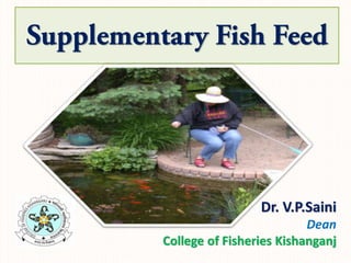 Dr. V.P.Saini
Dean
College of Fisheries Kishanganj
 