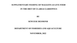 SUPPLEMENTARY FEEDING OF MAGGOTS AS LIVE FOOD
IN THE DIET OF CLARIAS GARIEPINUS
BY
SEWUESE DESMOND
DEPARTMENT OF FISHERIES AND AQUACULTURE
NOVEMBER, 2022
 