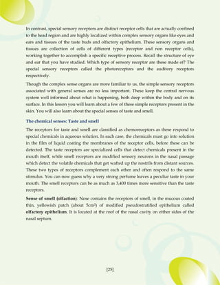 Simple Receptor Supplementary Material Biology (Revised) (1).pdf