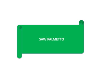 SAW PALMETTO
 