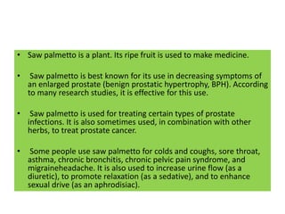 • Saw palmetto is a plant. Its ripe fruit is used to make medicine.
• Saw palmetto is best known for its use in decreasing symptoms of
an enlarged prostate (benign prostatic hypertrophy, BPH). According
to many research studies, it is effective for this use.
• Saw palmetto is used for treating certain types of prostate
infections. It is also sometimes used, in combination with other
herbs, to treat prostate cancer.
• Some people use saw palmetto for colds and coughs, sore throat,
asthma, chronic bronchitis, chronic pelvic pain syndrome, and
migraineheadache. It is also used to increase urine flow (as a
diuretic), to promote relaxation (as a sedative), and to enhance
sexual drive (as an aphrodisiac).
 
