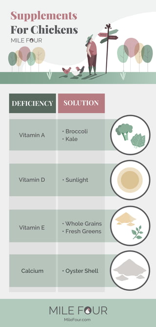 MileFour.com
For Chickens
Supplements
HOW
WHAT
• Broccoli
• Kale
SOLUTIONDEFICIENCY
Vitamin A
• SunlightVitamin D
Calcium
Vitamin E
• Whole Grains
• Fresh Greens
• Oyster Shell
 