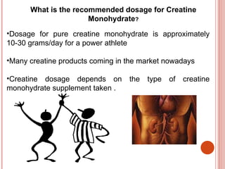 What is the recommended dosage for Creatine
                      Monohydrate?
•Dosage for pure creatine monohydrate is approximately
10-30 grams/day for a power athlete

•Many creatine products coming in the market nowadays

•Creatine dosage depends on       the   type   of   creatine
monohydrate supplement taken .
 