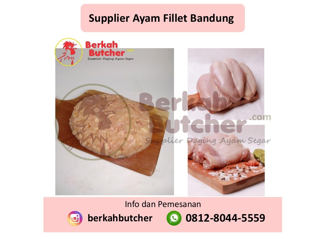 Harga Daging Ayam Per Kg 2019, Tlp/Wa. 0812-8044-5559, Berkah Butcher