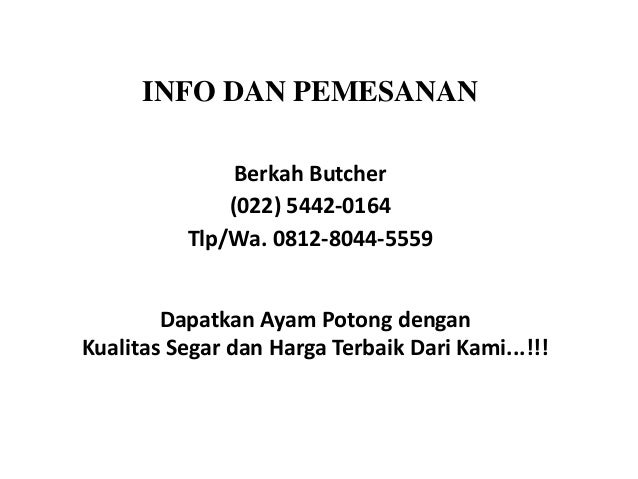 Berkualitas Tlpwa 0812 8044 5559 Harga Ayam Broiler Hari Ini