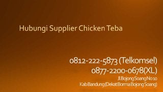 0812-2222-5873 (Tsel) | Supplier Chicken Teba