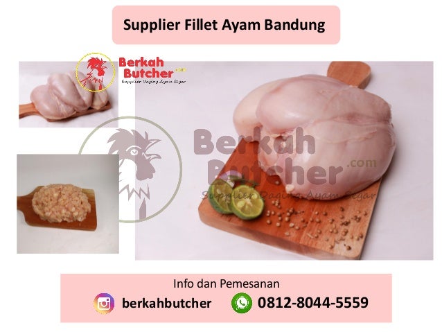 Fresh Tlpwa 0812 8044 5559 Info Harga Ayam Broiler Hari Ini