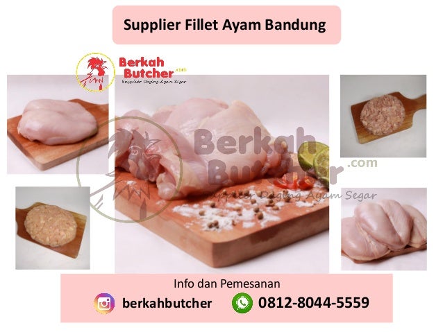 Fresh Tlpwa 0812 8044 5559 Info Harga Ayam Broiler Hari Ini