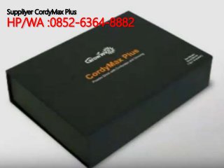Suppliyer CordyMax Plus
HP/WA :0852-6364-8882
 