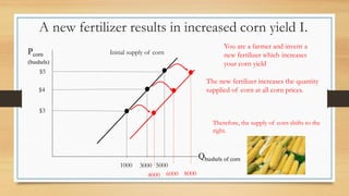 Pcorn
(bushels)
Qbushels of corn
Initial supply of corn
$4
1000
You are a farmer and invent a
new fertilizer which increases
your corn yield
6000
$3
5000
$5
8000
4000
3000
The new fertilizer increases the quantity
supplied of corn at all corn prices.
Therefore, the supply of corn shifts to the
right.
A new fertilizer results in increased corn yield I.
 