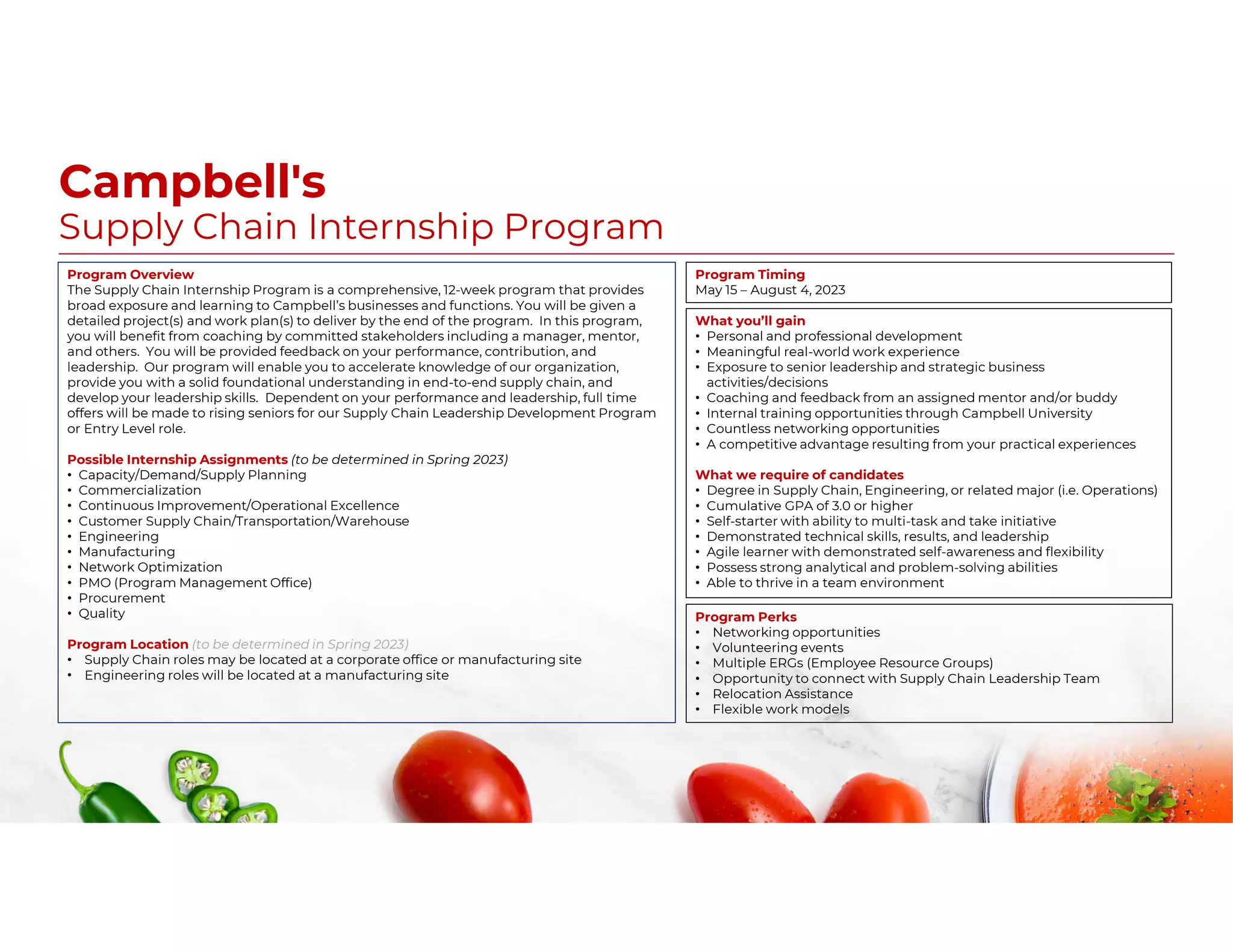 supply-chain-internship-program-overview-pdf