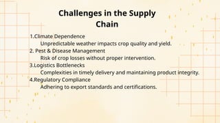Supply Chain of Basmati Rice in Indian region | PPTX