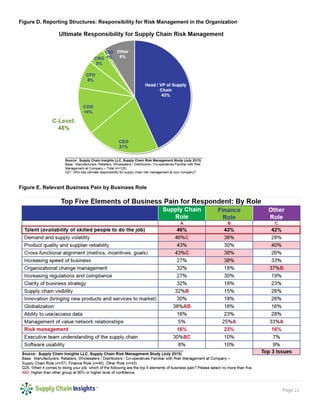 Page 21
Figure D. Reporting Structures: Responsibility for Risk Management in the Organization
Figure E. Relevant Business Pain by Business Role
 