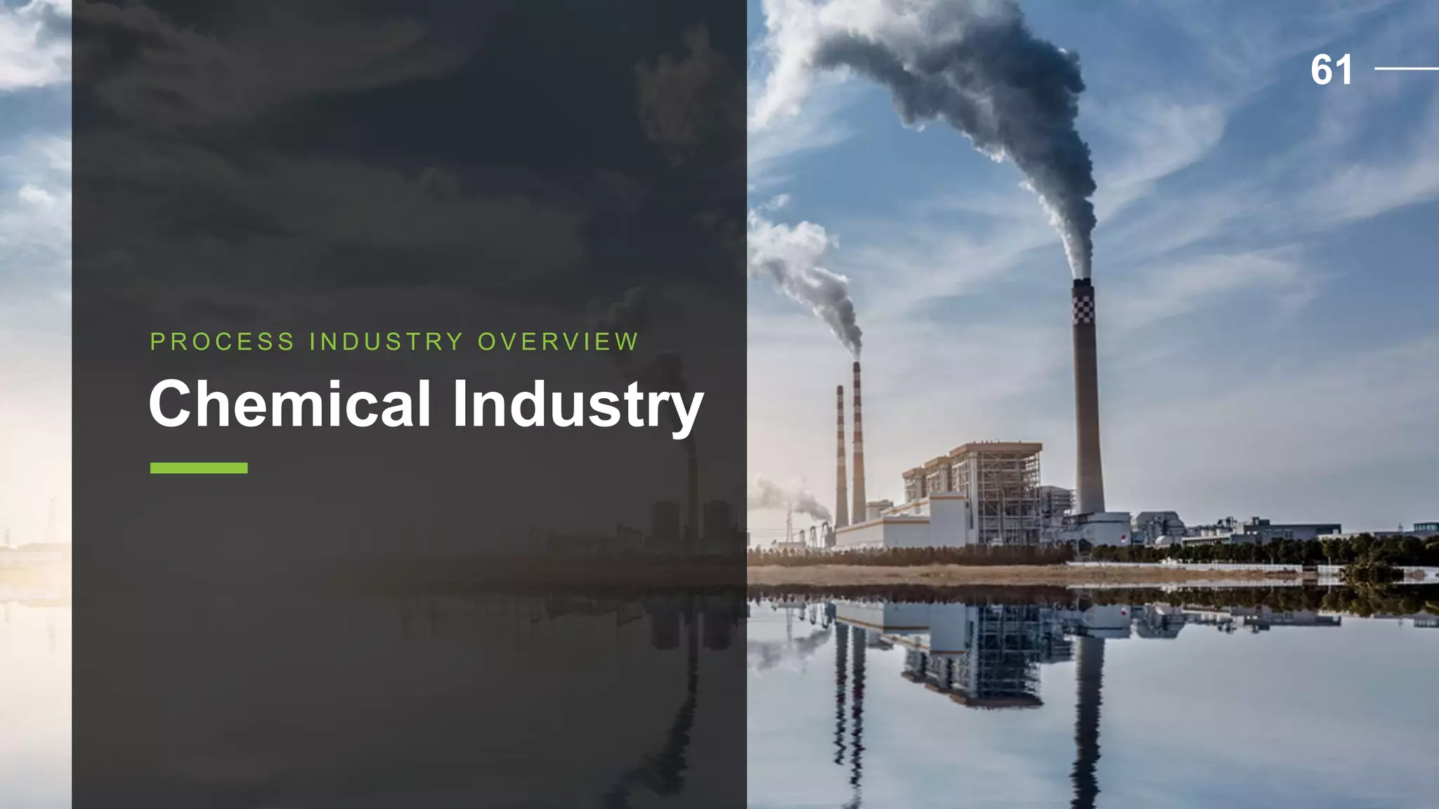 P R O C E S S I N D U S T R Y O V E R V I E W
Chemical Industry
61
 