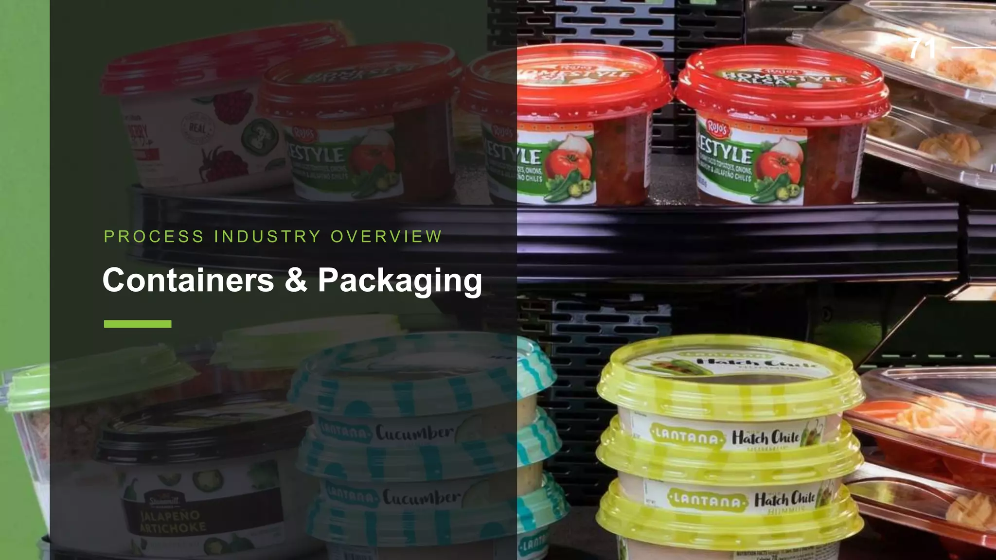 P R O C E S S I N D U S T R Y O V E R V I E W
Containers & Packaging
71
 