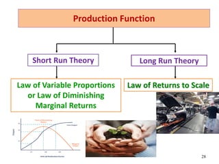 Production Function
28
Long Run Theory
Short Run Theory
Law of Variable Proportions
or Law of Diminishing
Marginal Returns
Law of Returns to Scale
 