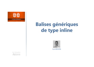 Balises génériques
de type inline
Une formation
Carl BRISON
 