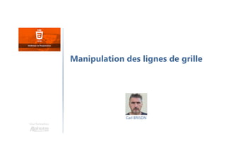 Carl BRISON
Une formation
Manipulation des lignes de grille
 