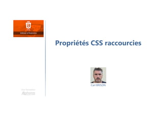 Carl BRISON
Une formation
Propriétés CSS raccourcies
 